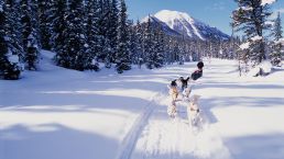 加拿大BC省五大顶级滑雪场，总有一个适合你！