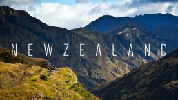 恭喜新西兰技术移民客户Z女士获得移民局批准函