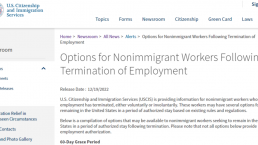 美移民局发布指南：外籍员工失去工作后，如何继续留在美国？
