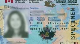 加拿大移民局将公布新的移民计划，移民数量到底会不会增加？