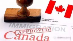 加拿大联邦创业移民人数暴增，预计年底增加80%