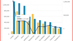 2023财年中国申请人暴增1104%！这个签证到底有何优势？