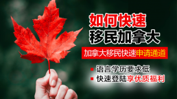 申请门槛低、成功率高！加拿大移民新“黑马”,SUV项目大热！