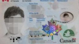 美国绿卡与加拿大绿卡的区别_皇家移民（原：金征远）