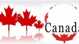 BC PNP商业省提名第二批打分结果公布，最低分1