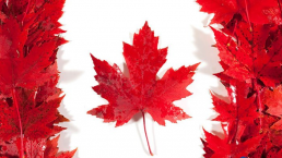 枫叶之国，加拿大有哪些传统节日