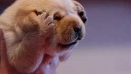 笑死人不偿命的10个习语你造吗？