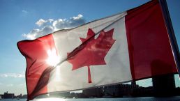 【金征远皇家移民】新移民如何快速融入加拿大生活？