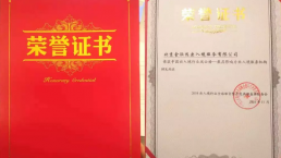 金征远皇家移民受邀出席2018出入境行业全球峰会暨年度表彰盛典