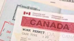 加拿大移民EE联邦快速通道第140轮筛选降分了！