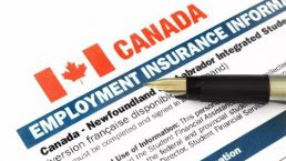 加拿大停止接收技术移民？没有！最新雇主担保移民热门岗位出炉！