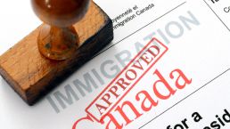 加拿大签证与移民项目审理周期2020年8月更新