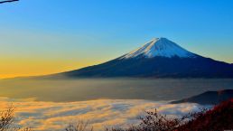 日本最快明年春天将开放观光客入境