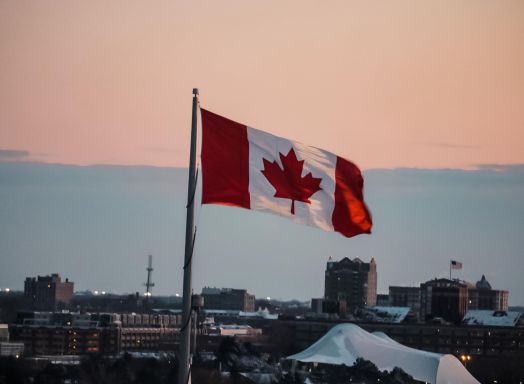 加拿大省提名一步到位移民