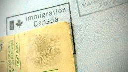 美国&加拿大移民新政解析会