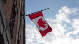 加拿大移民局最后通牒！各省若不限制配额，将不会审理新的学签！