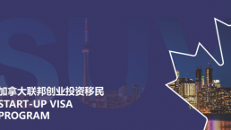 加拿大这个项目对华人超友好！成功率100%！审批速度快一倍！