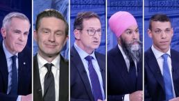保守党支持率飙破63%，移民政策即将“换挡”？