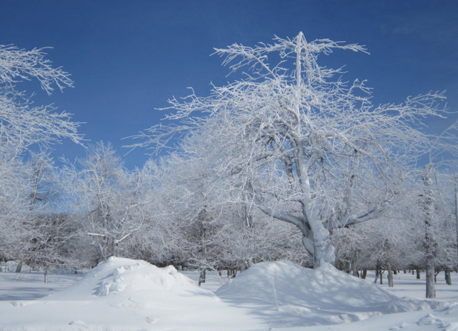 http://www.yimininfo.com/view/1411.html