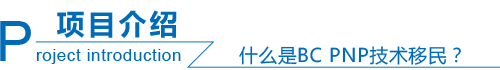 项目介绍.png