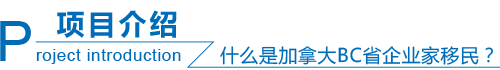 项目介绍.png