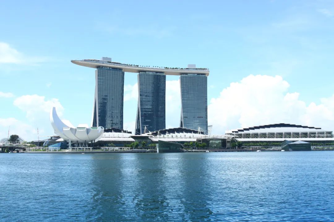 1695617714131126.jpg 4.jpg
